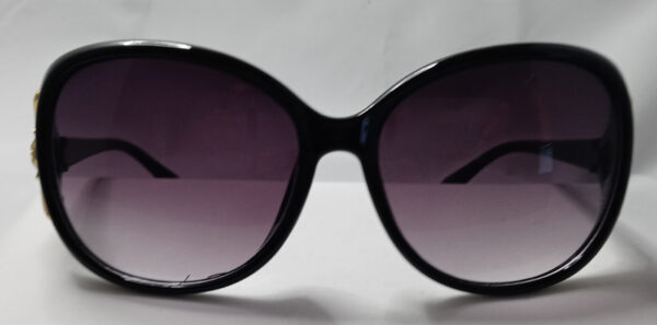 Chic Oversized Oval Fashion Glasses black