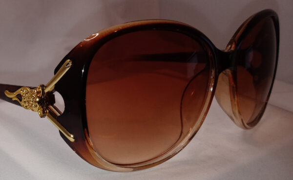 Chic Oversized Oval Fashion Glasses brown