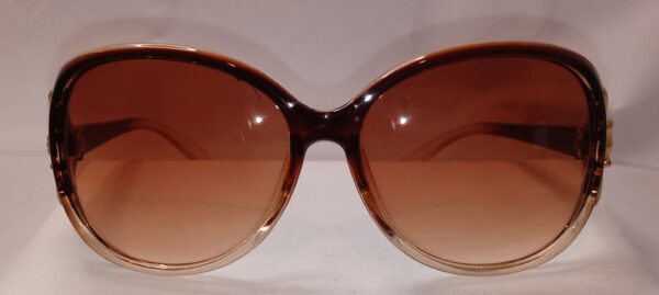 Chic Oversized Oval Fashion Glasses brown