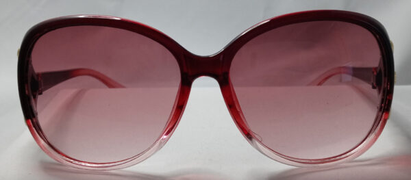 Chic Oversized Oval Fashion Glasses cranberry