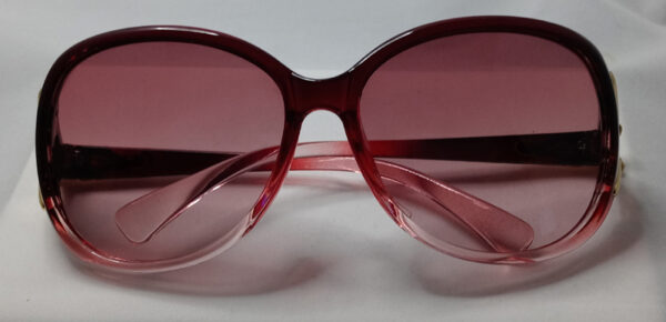 Chic Oversized Oval Fashion Glasses cranberry