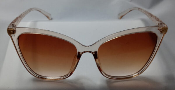 Oversized Cat Eye Sunglasses Clear frame