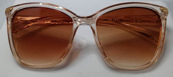 Oversized Cat Eye Sunglasses Clear frame